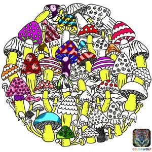 Meet your Posher, Rob